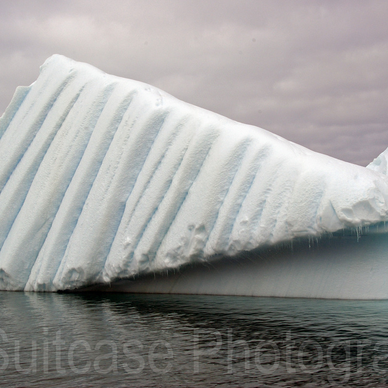 Antarctica, Pleneau