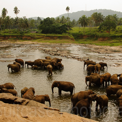 Sri Lanka
